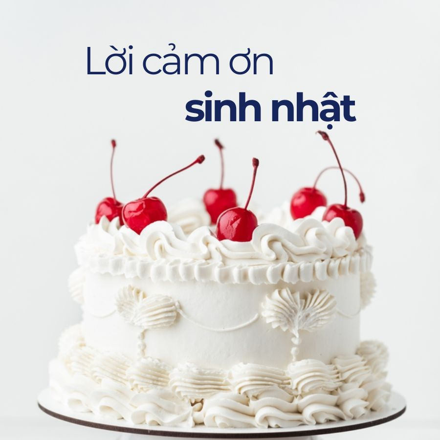 Tổng hợp 1001+ lời cảm ơn sinh nhật ngắn gọn ý nghĩa Tổng hợp 1001+ lời cảm ơn sinh nhật ngắn gọn ý nghĩa