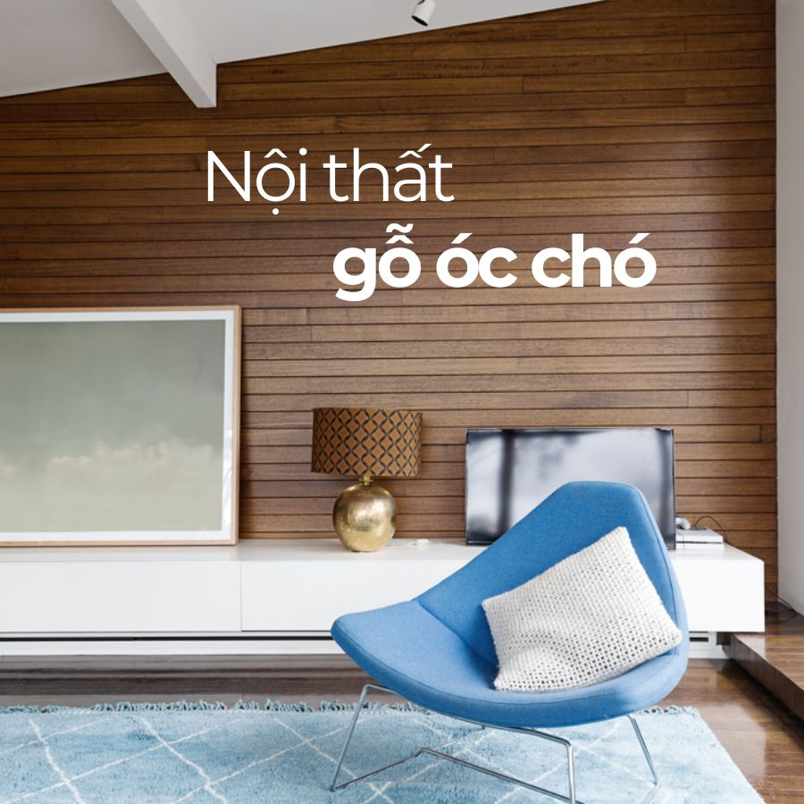 Gỗ óc chó là gì? Ứng dụng gỗ óc chó tự nhiên trong nội thất