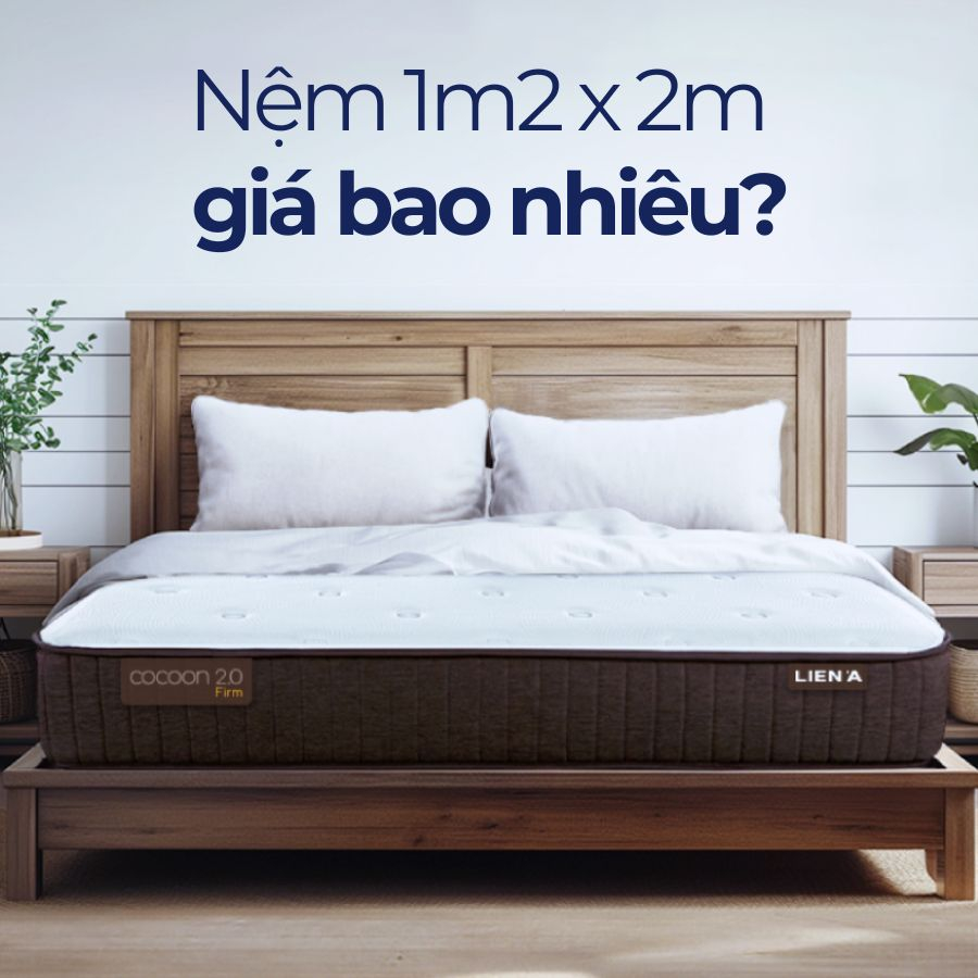 [Cập nhật 2025] Nệm 1m2 x 2m giá bao nhiêu?