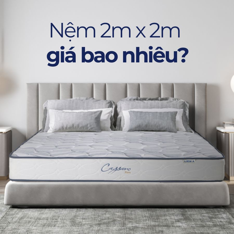 [Cập nhật 2025] Nệm 2m x 2m giá bao nhiêu?