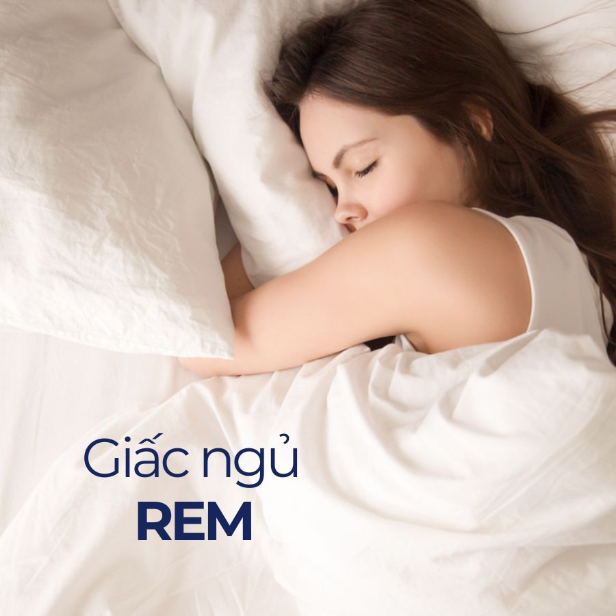 Giấc ngủ REM là gì? Chu kỳ giấc ngủ REM và non - REM Giấc ngủ REM là gì? Chu kỳ giấc ngủ REM và non - REM