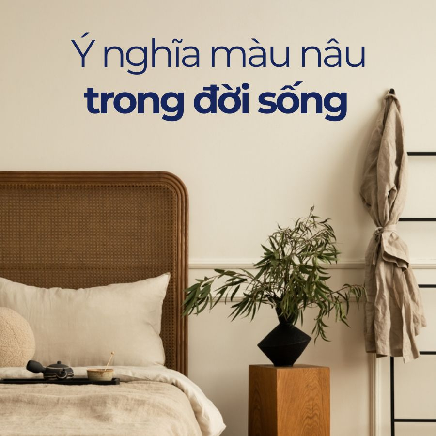 Màu nâu: Ý nghĩa đằng sau sắc màu ấm áp và bình yên