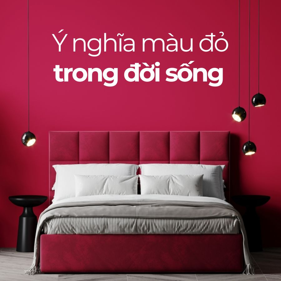 Màu đỏ: Ý nghĩa đằng sau sắc màu của quyền lực và đam mê
