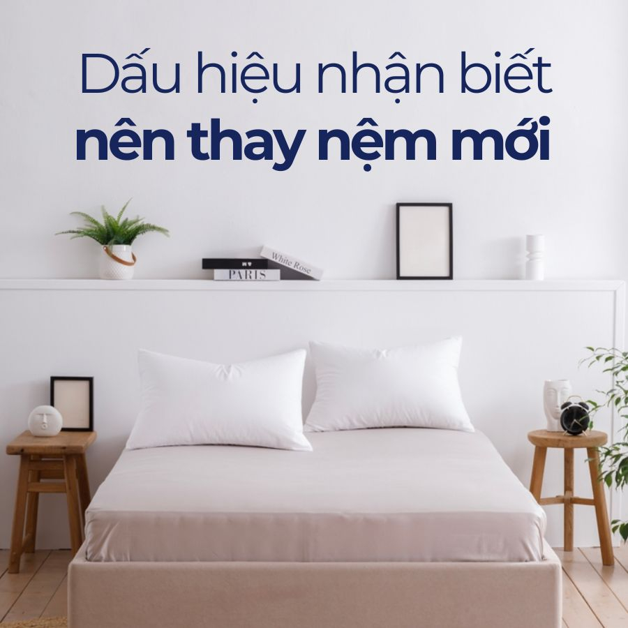 Khi nào cần thay nệm mới? Nguyên tắc bảo quản nệm lâu bền