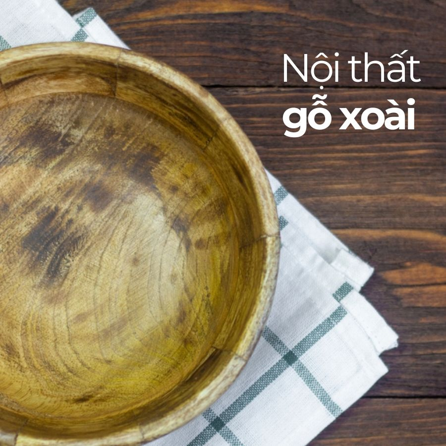 Gỗ xoài là gì? Đặc điểm nhận dạng nội thất gỗ xoài Gỗ xoài là gì? Đặc điểm nhận dạng nội thất gỗ xoài