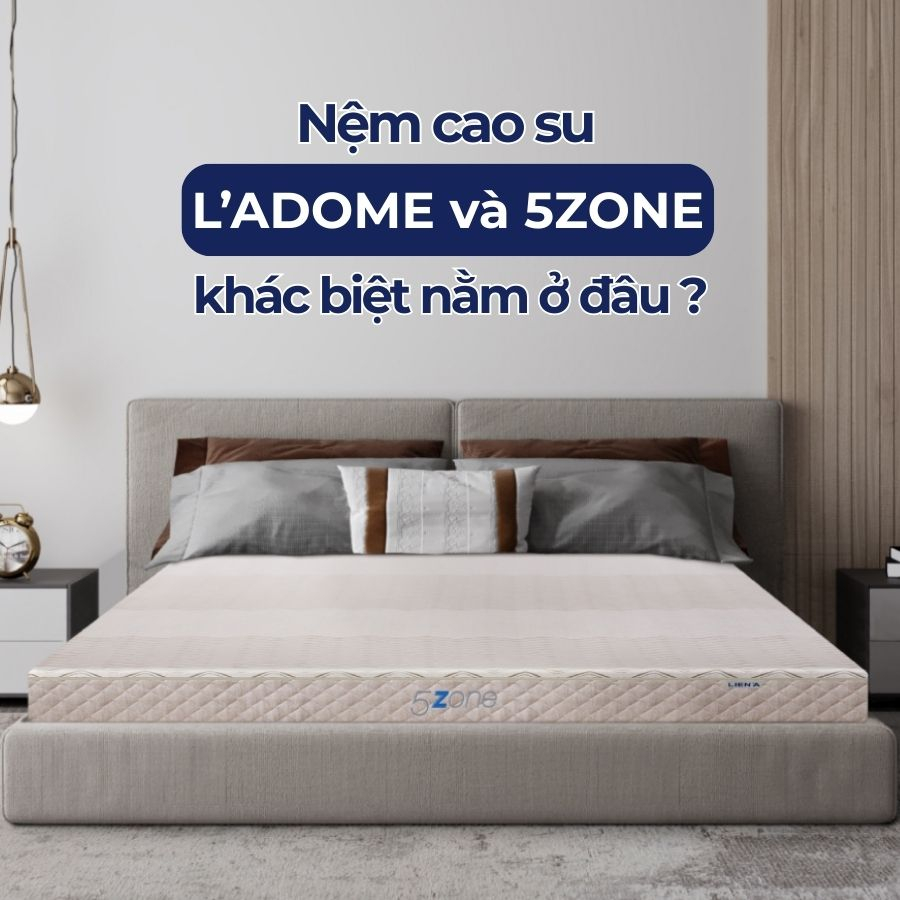 L'ADOME và 5ZONE: Đâu mới là mẫu nệm mà bạn mong đợi?