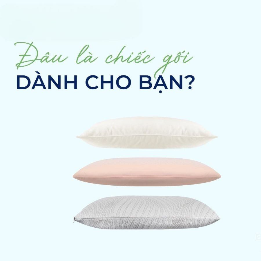 Nên nằm gối gòn tơ hay gối cao su thiên nhiên?