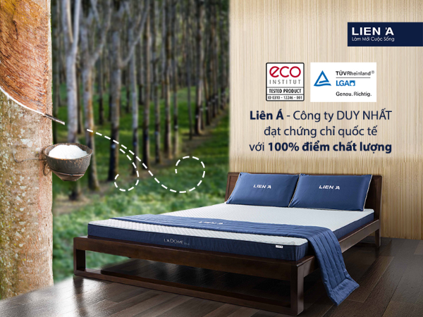 nệm liên á đạt chứng chỉ quốc tế eco