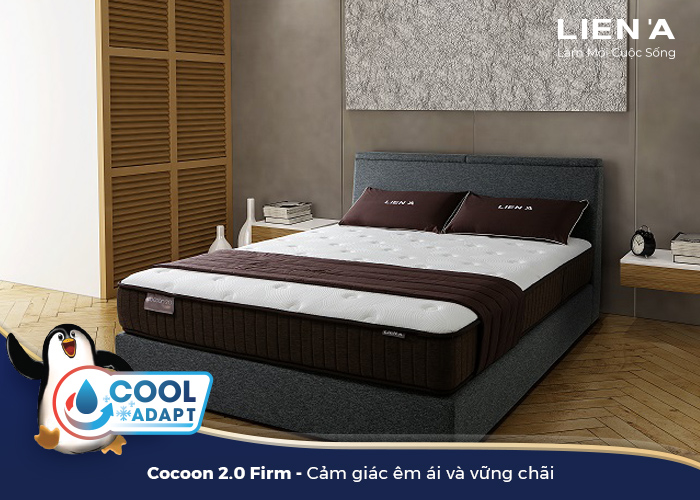 đệm lò xo túi độc lập