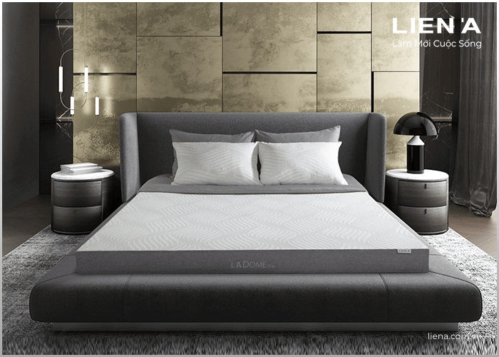 nệm cao su than hoạt tính L'A Dome Grey