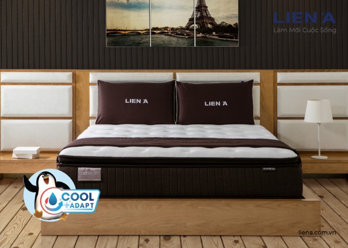 nệm lò xo túi cao cấp Cocoon Liên Á