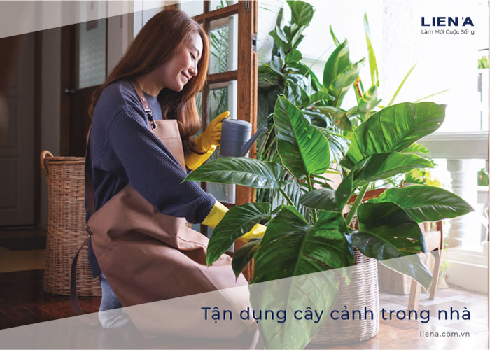 trang trí cây thông noel