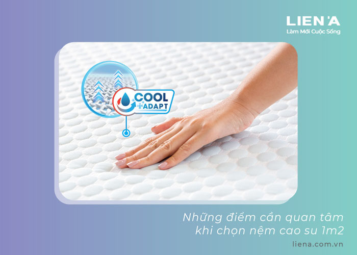 mua nệm cao su 1m2