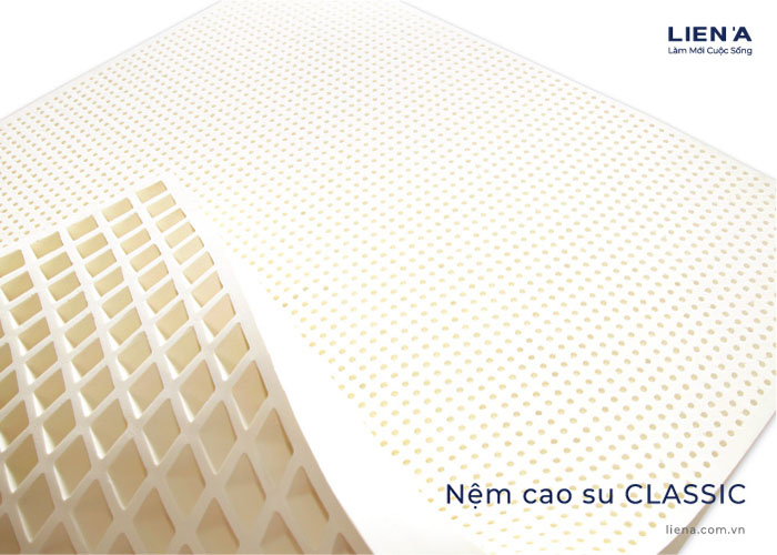 đại lý nệm đồng tháp 