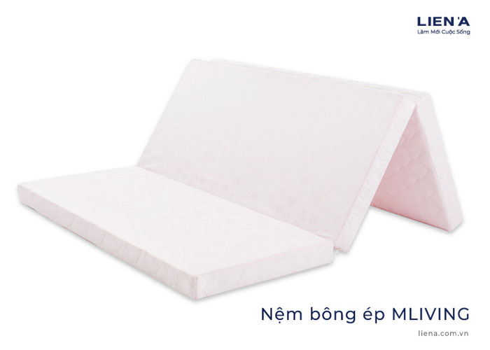 đệm đồng tháp