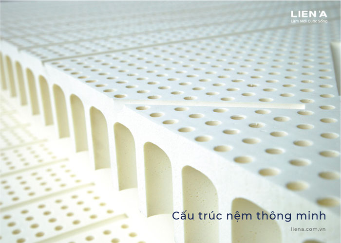 giấc ngủ vàng cho sức khỏe