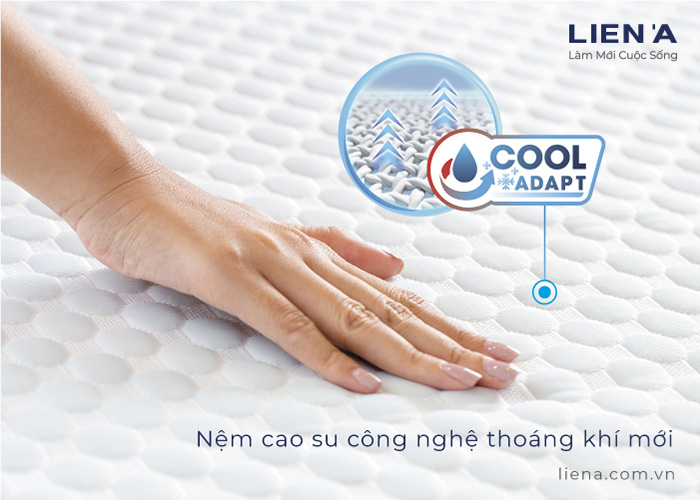 nệm cao su mát