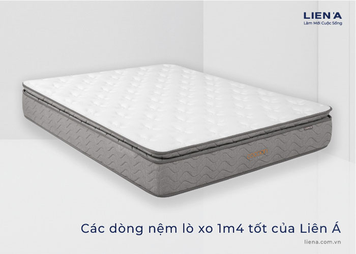nệm lò xo 1m4 liên á