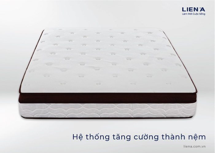  nệm lò xo túi độc lập 