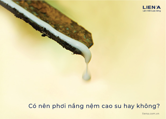 có nên phơi nắng nệm cao su hay không?
