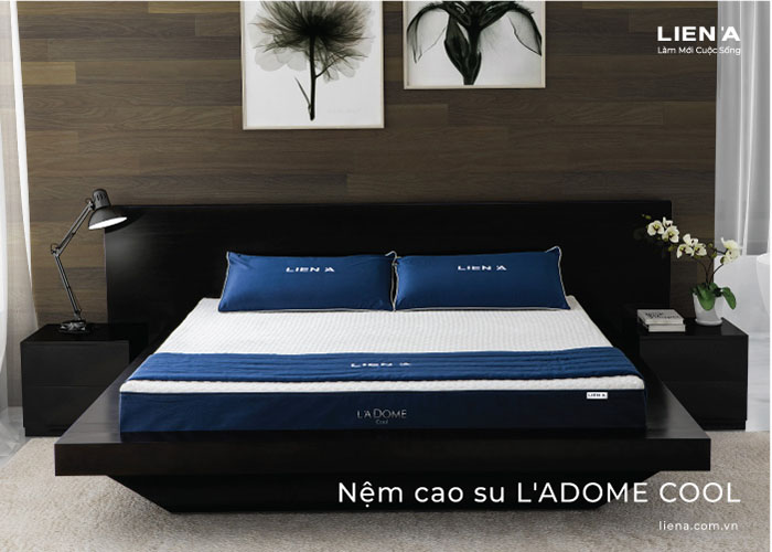 nệm liên á