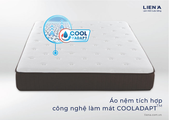 nệm lò xo túi độc lập liên á