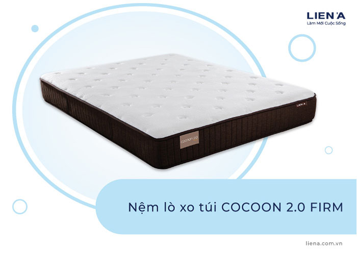 nệm lò xo khách sạn cocoon 2.0 firm