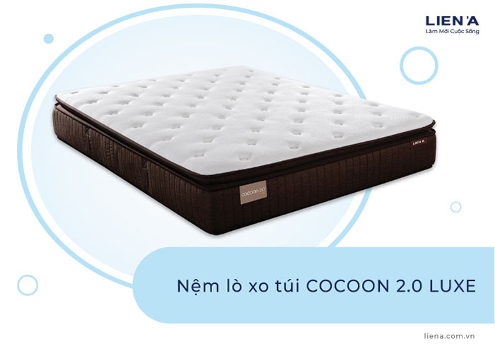 nệm lò xo khách sạn cocoon 2.0 luxe