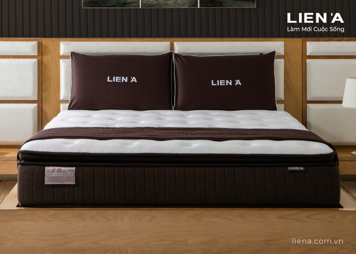 nệm lò xo túi cocoon 2.0 luxe