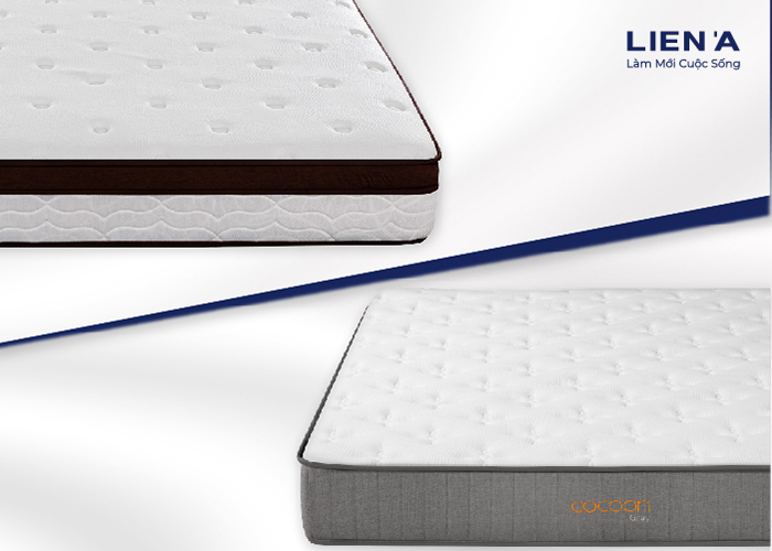 thiết kế eurotop và pillowtop