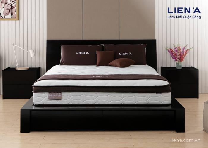 nệm lò xo túi cocoon 2.0 premium
