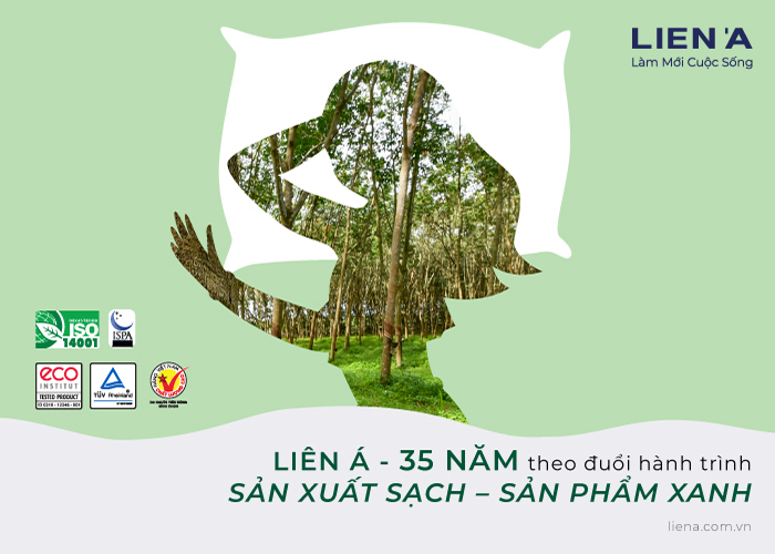 gối nệm cao su thiên nhiên