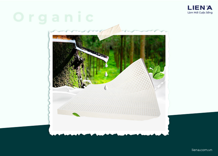 nệm cao su organic