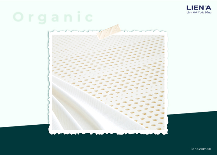 nệm organic