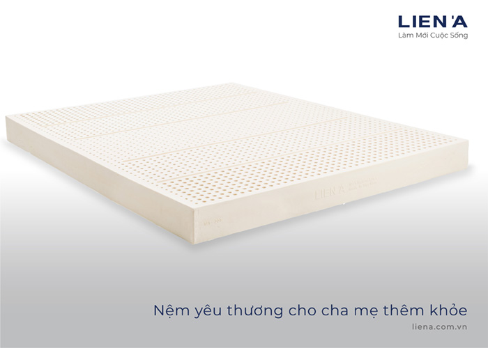 nệm cao su 5zone