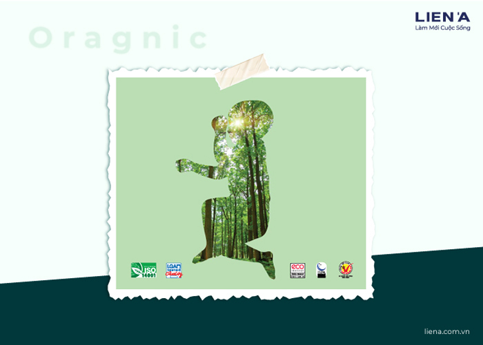 chứng chỉ bảo vệ môi trường