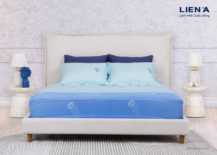 drap giường 1m6 serena