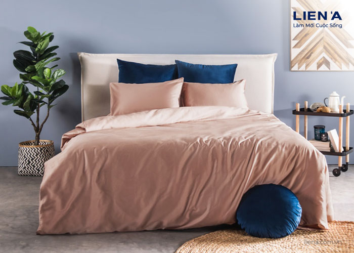drap giường 1m6 butter room