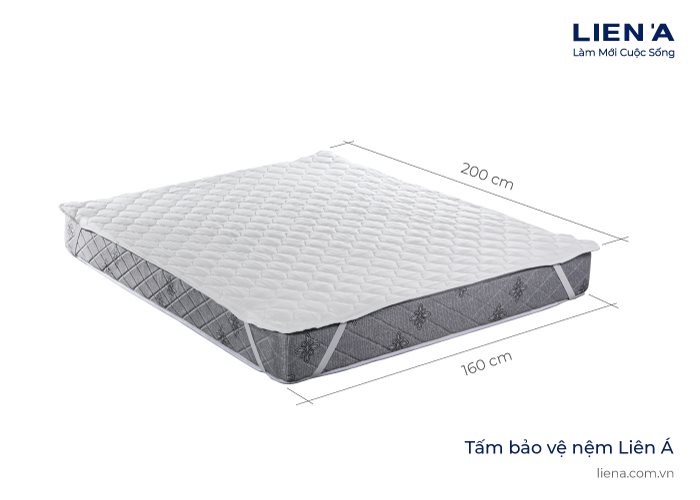 tấm bảo vệ nệm liên á