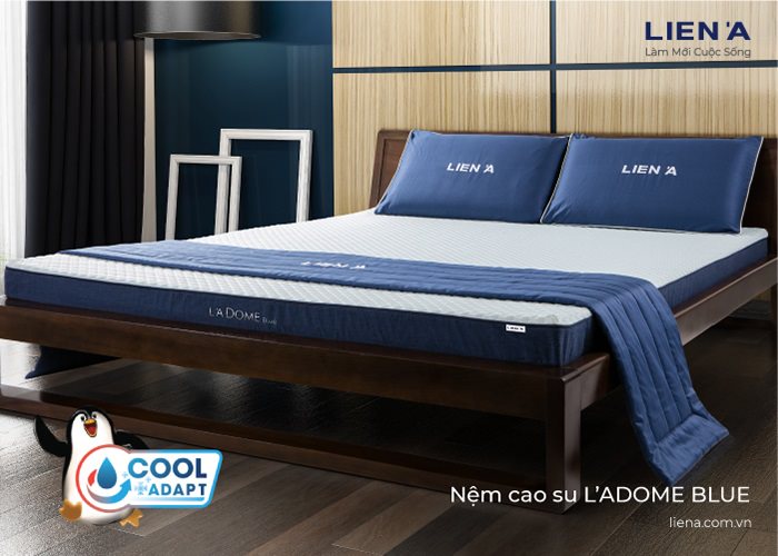 nệm mát ladom blue