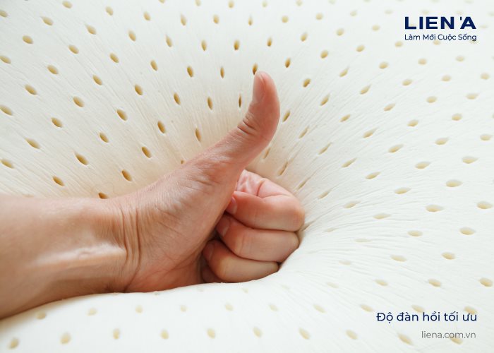 nệm đàn hồi tối ưu