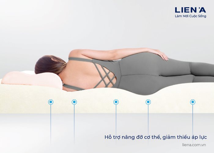 nệm cao su nâng đỡ cơ thể 