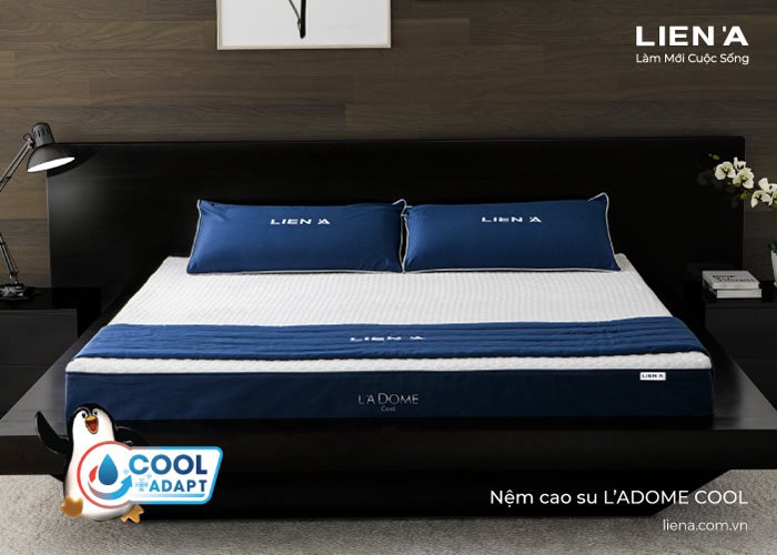 nệm cao su xanh mát