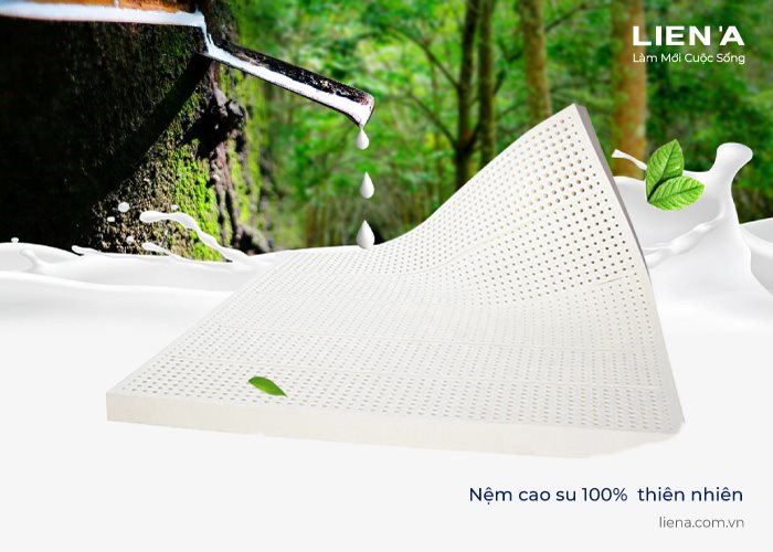 nệm cao su xanh thiên nhiên 100%