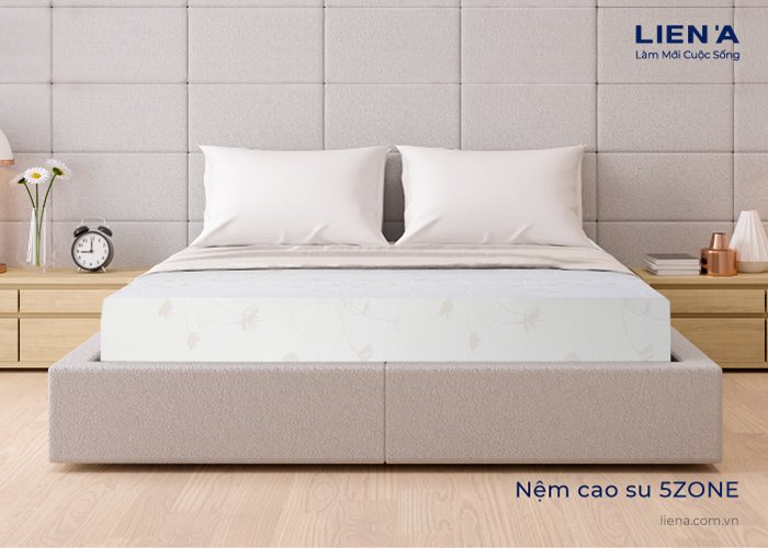 nệm cao su 5zone