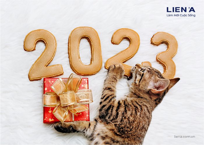 năm 2023 năm quý mã0