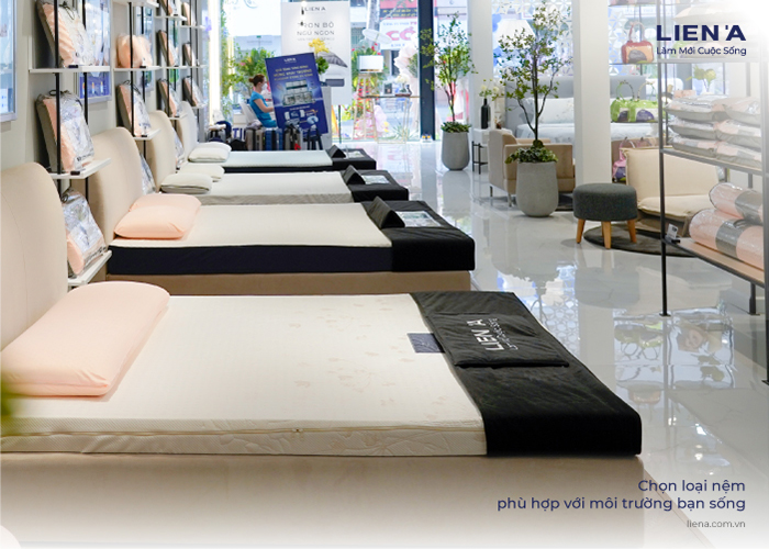 showroom liên á