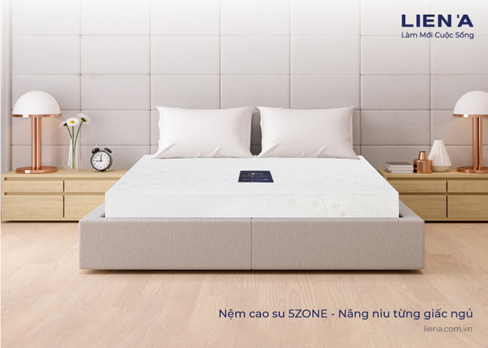 Nệm cao su 5ZONE