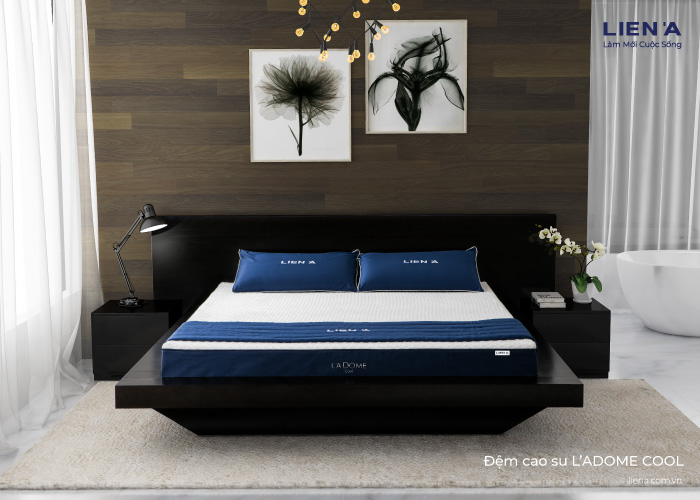 cửa hàng nệm ở bình dương