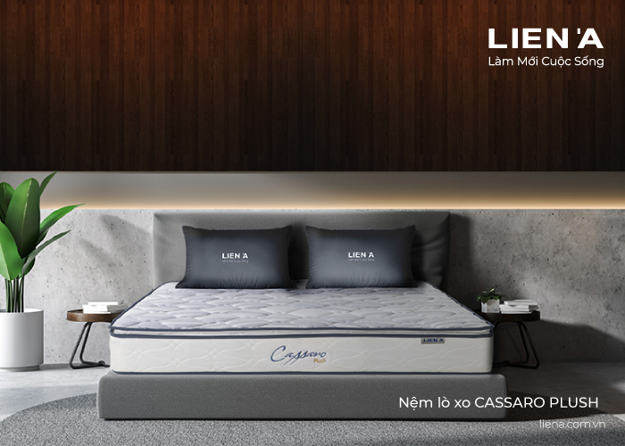 nệm lò xo cassaro